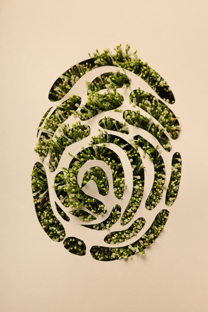sustentabilidade e condomínio